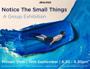 Notice the Small Things exhibition