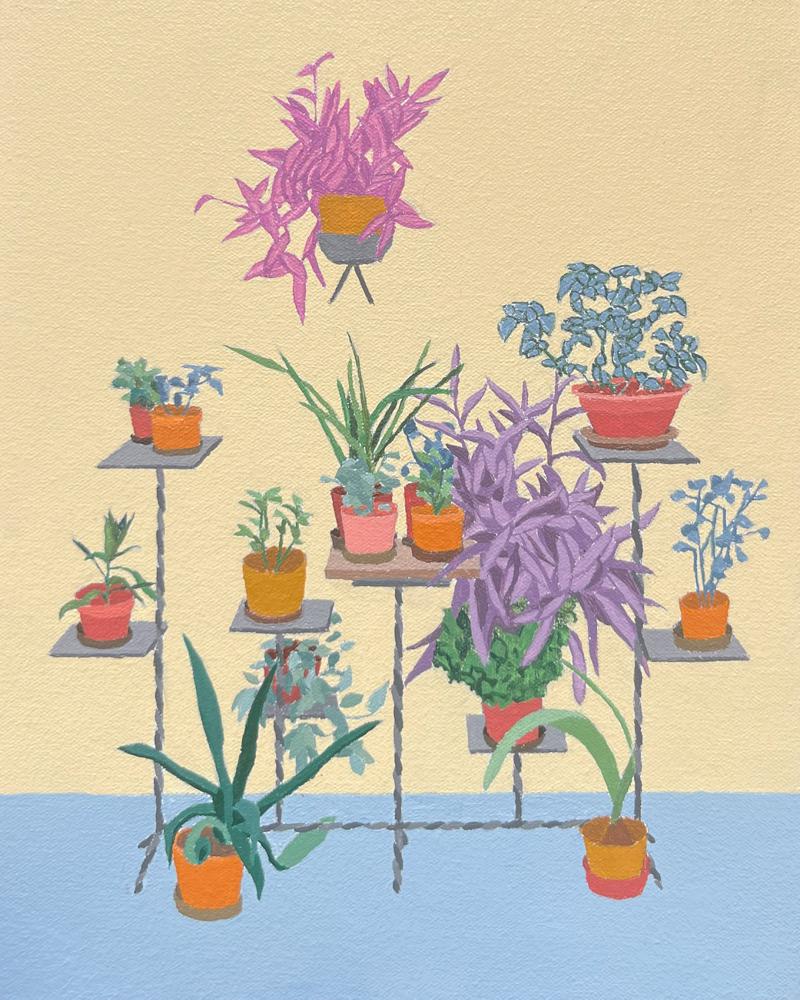 Zsofia Schweger - Camera Roll #10 (Hungary, 2024)